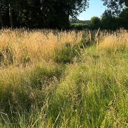 Zur Grenze Zeltplatz קושהאבן