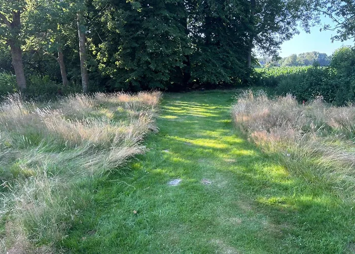 Campingplads Zur Grenze Zeltplatz